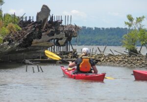 Most of the shipwrecks in Mallows Bay are from World War I.