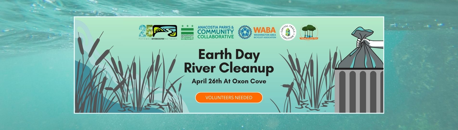 Oxen Cover Earth Day River Cleanup