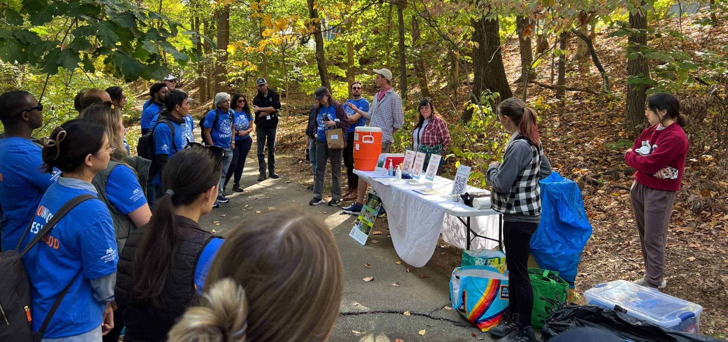 SEERvice project parnership group