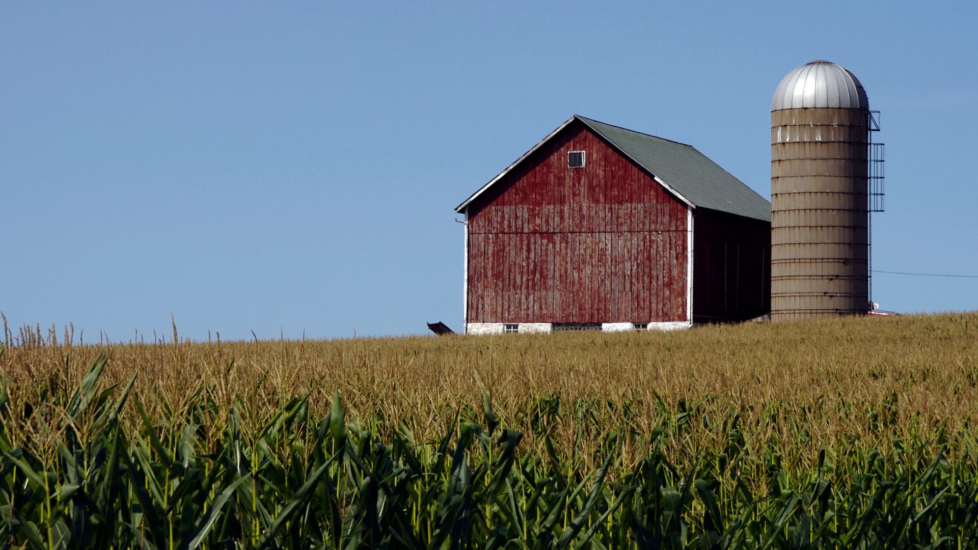 Barn, silo, field